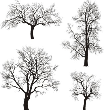 Apple, raspberry, walnut and chestnut tree clipart