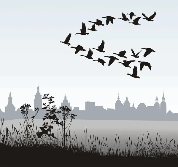 Migrating wild geese of the country — Stock Vector