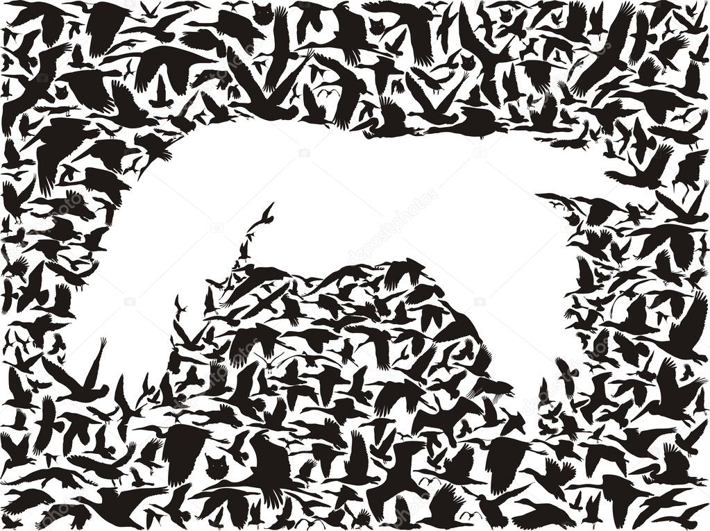 Backgrounds of flying birds, bird predator, vector illustration
