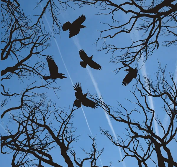 树木和乌鸦在天空飞 — 图库照片