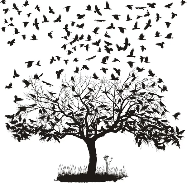 Krähen in einem Baum — Stockvektor