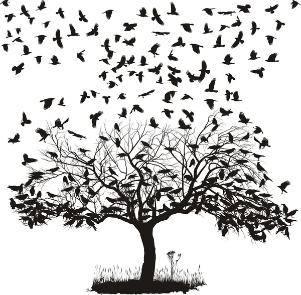 Corbeaux dans un arbre — Image vectorielle