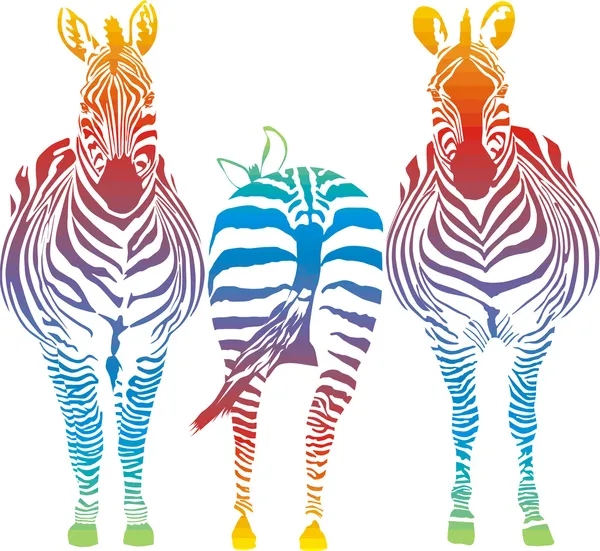 Rainbow zebra — Stock vektor