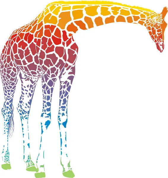 Regenboog giraffe vector — Stockvector
