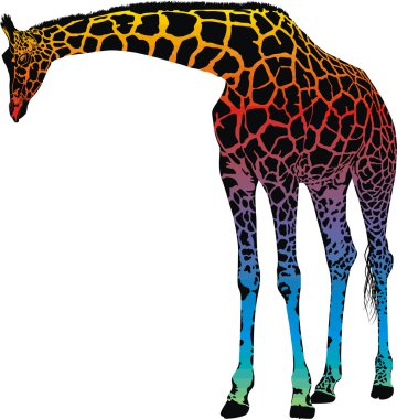 Giraffe - vector abstract rainbow clipart