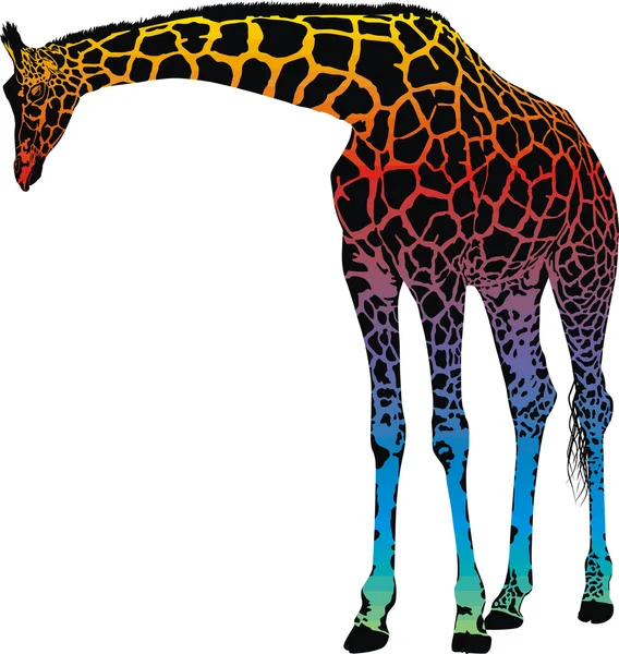 Giraffa - arcobaleno astratto vettoriale — Vettoriale Stock