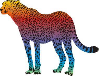 Cheetah - vector abstract rainbow clipart