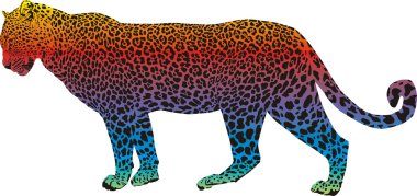 Leopard - vector abstract rainbow clipart