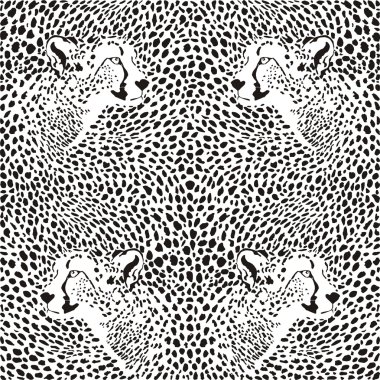 Cheetahs background clipart