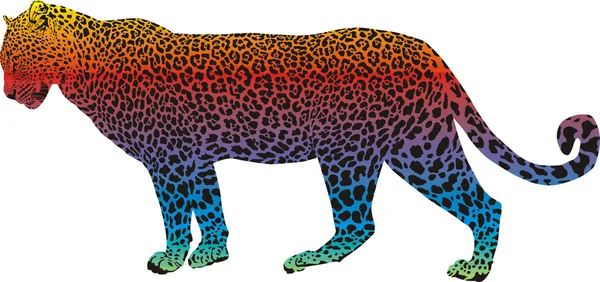 Leopardo - vetor arco-íris abstrato — Vetor de Stock