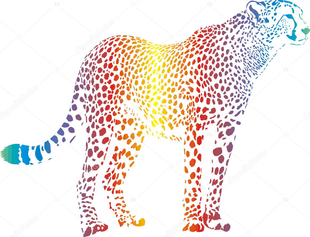 Abstract rainbow cheetah