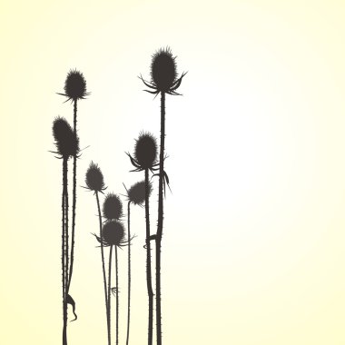 Thistle, vector objects clipart