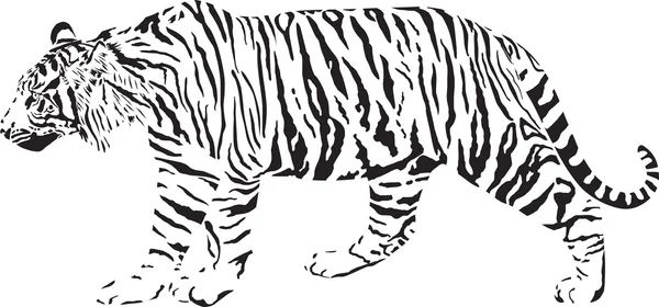 Tigre - Ilustração vetorial em preto e branco — Vetor de Stock