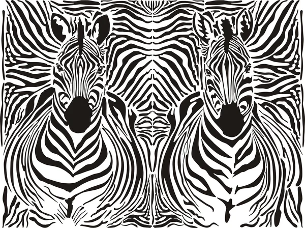 Zebra desen arka plan — Stok Vektör