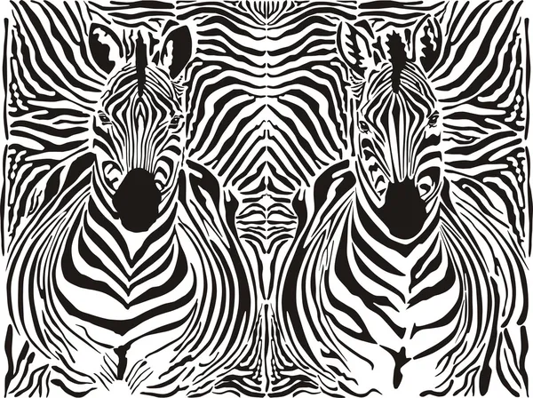Padrão de zebra fundo —  Vetores de Stock