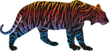 Rainbow in the tiger clipart