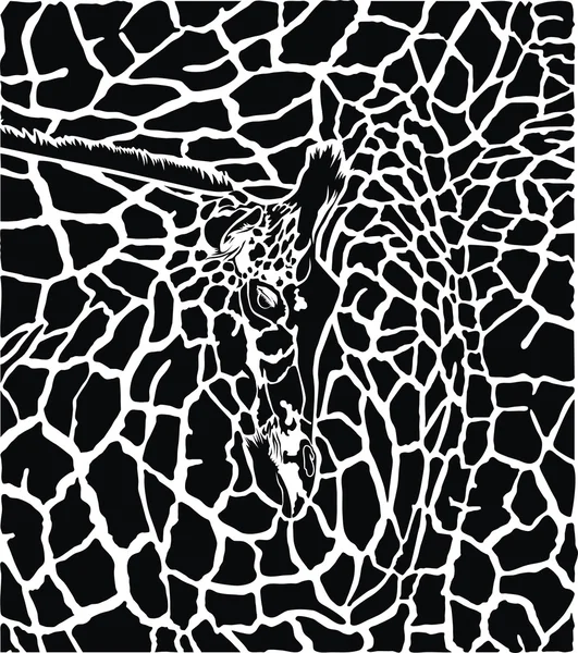 Giraffe patroon achtergrond — Stockvector