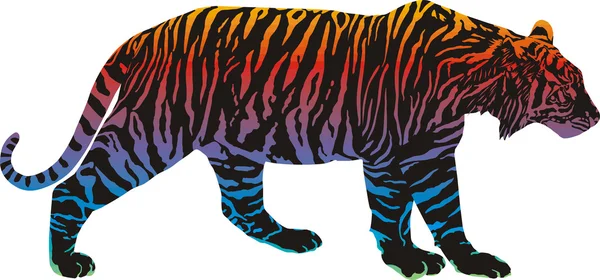 Arco-íris no tigre — Vetor de Stock