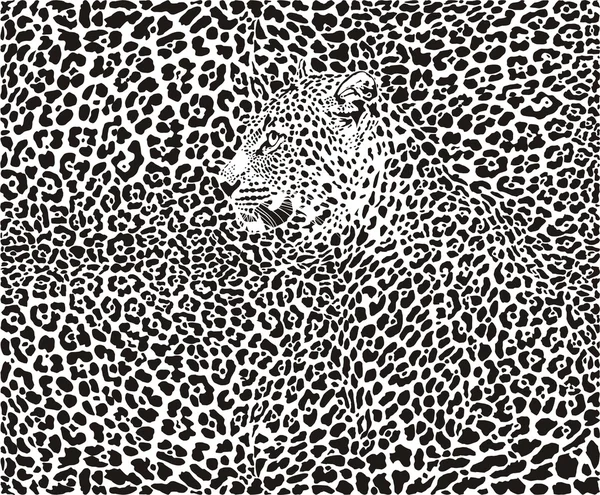 Contexte du léopard — Image vectorielle
