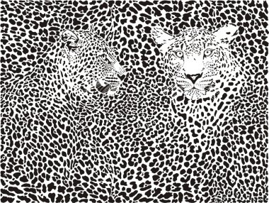 Leopard pattern background clipart