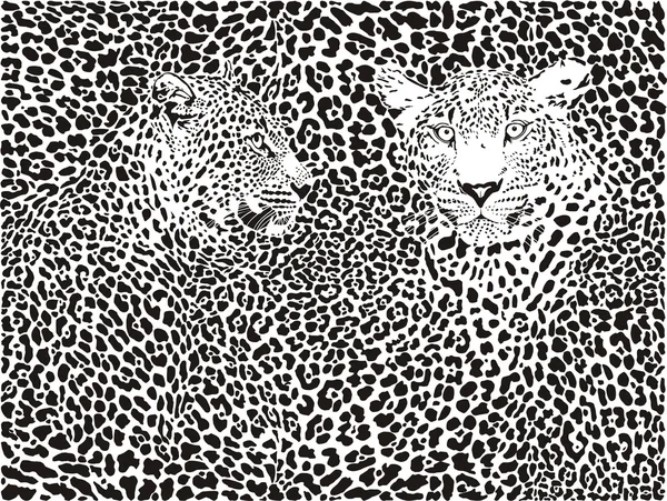 Leopardí vzor pozadí — Stockový vektor