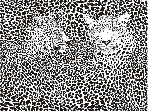 Fondo de patrón de leopardo — Archivo Imágenes Vectoriales