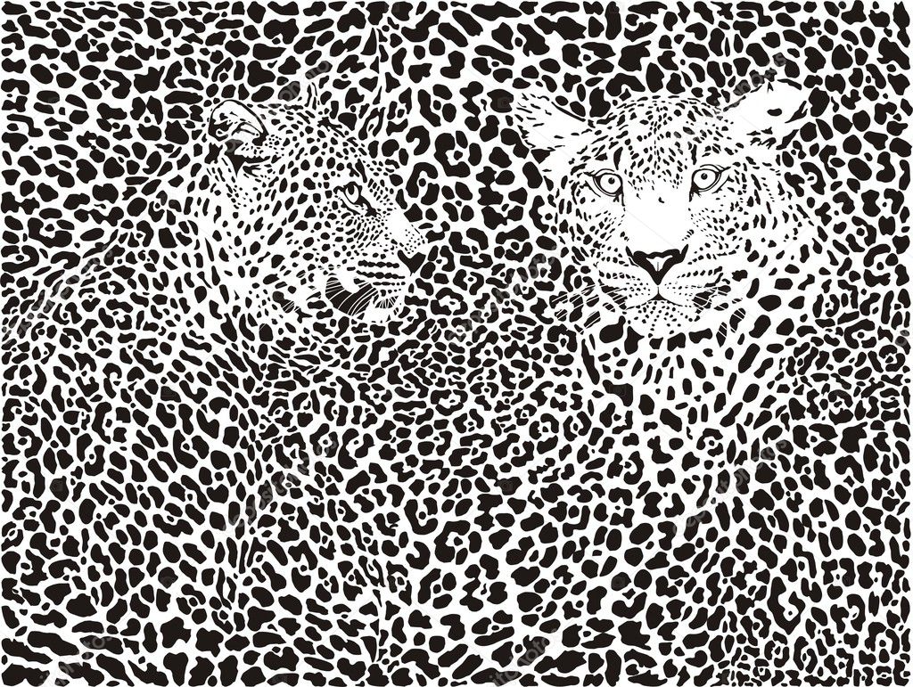 Leopard pattern background