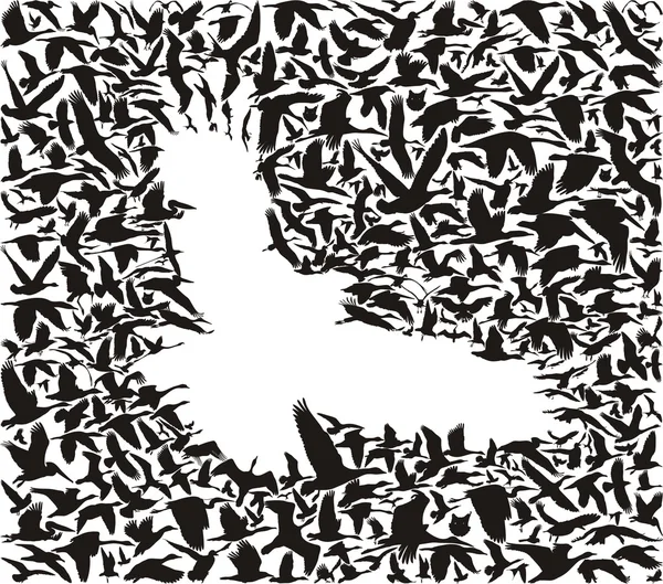 Oiseau prédateur et ses proies — Image vectorielle