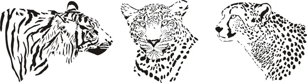 Tête de guépard, léopard et tigre — Image vectorielle