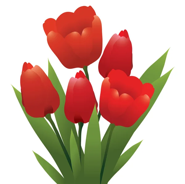 Vector bunch of red tulips — Stock Vector