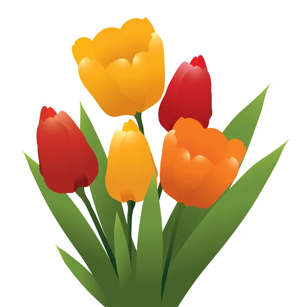 Kilka wektorowych tulipanów — Wektor stockowy