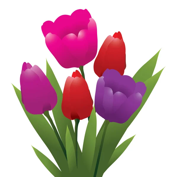 Vector bunch of tulips — Stock Vector