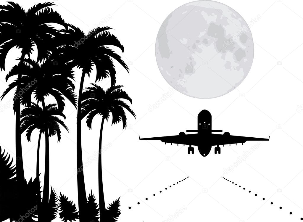 Vector palms, moon and plane over runway