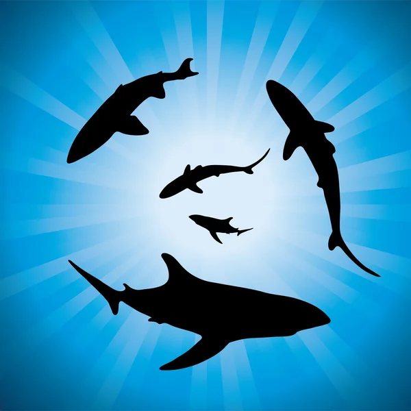 Tiburones vectores bajo el agua y la luz solar — Vector de stock