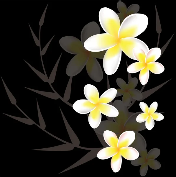 Vector floral arka plan ile frangipani — Stok Vektör