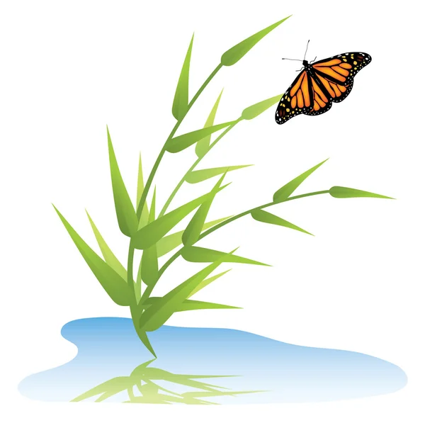 Vektorgras, Wasser und Schmetterling — Stockvektor