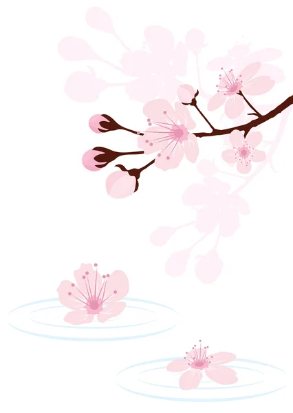 Branche de cerisier vecteur sur l'eau — Image vectorielle