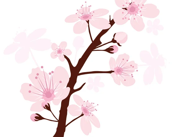 Branche vectorielle cerise — Image vectorielle