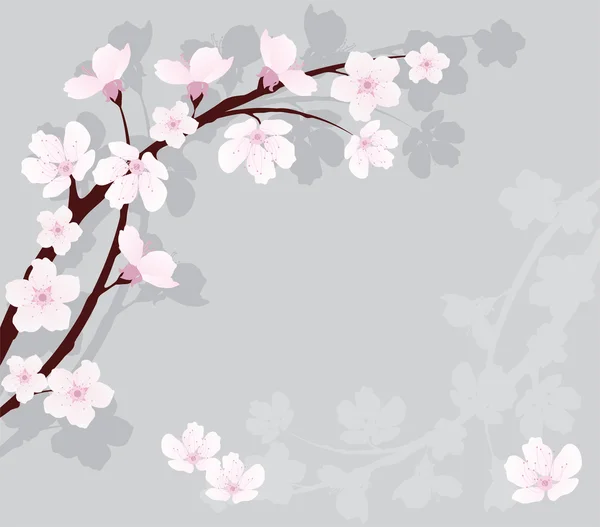 Vektor cseresznye ág Jogdíjmentes Stock Illusztrációk