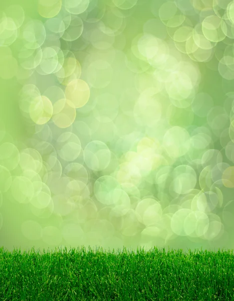 Πράσινο γρασίδι άνοιξη φαντασία bokeh — Φωτογραφία Αρχείου