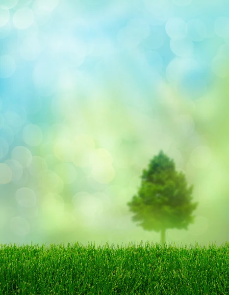 푸른 잔디 봄 판타지 — 스톡 사진