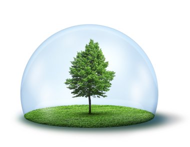 Lone green tree under protective dome clipart