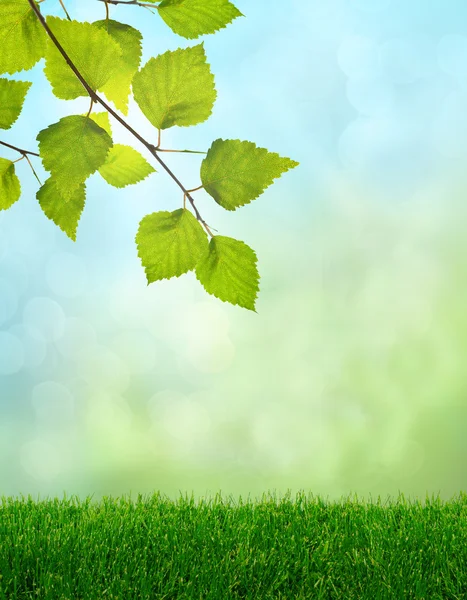 Yeşil çimenler bahar fantezi — Stok fotoğraf