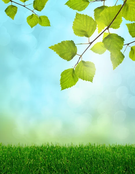 Yeşil çimenler bahar fantezi — Stok fotoğraf