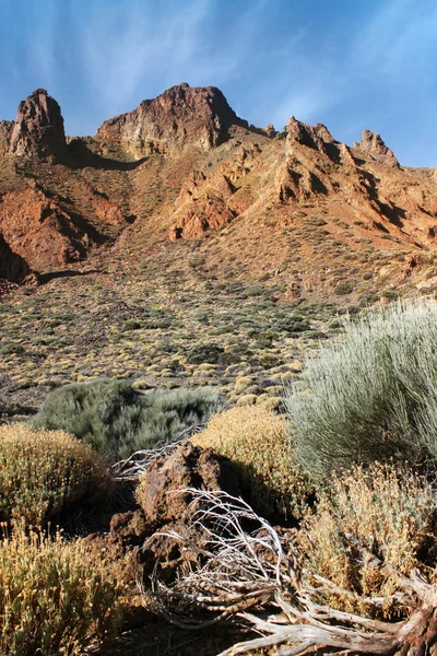 다채로운 사막 — 스톡 사진