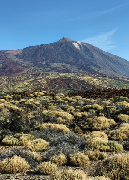 stock image El Teide summit desert