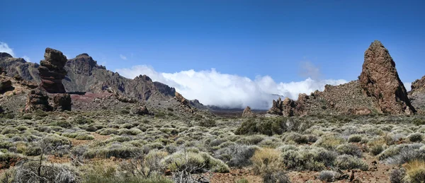 stock image Desert spring panorama