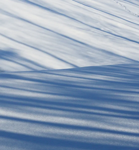 Shadows on newly fallen snow — Stock Photo, Image
