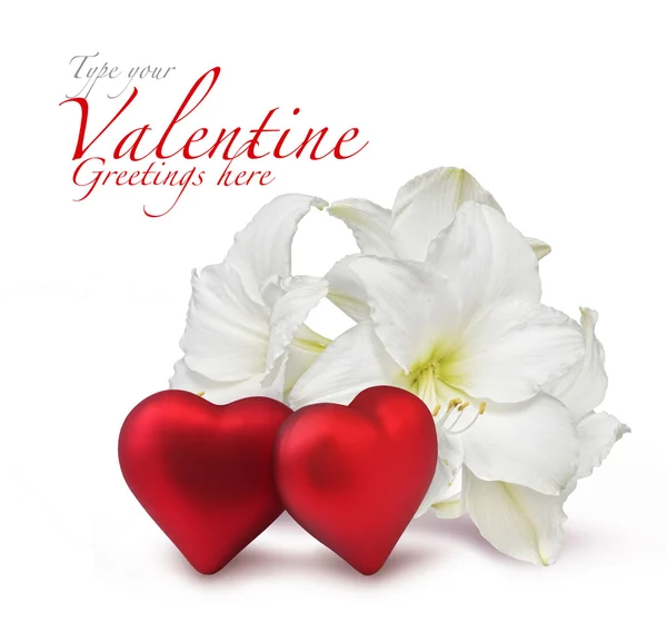 Červená valentine srdce s bílým Amarylis — Stock fotografie