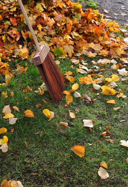 Hojas de otoño y escoba — Foto de Stock
